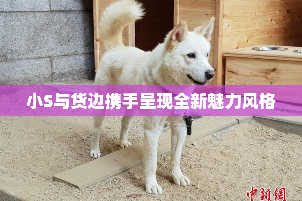 小S与货边携手呈现全新魅力风格