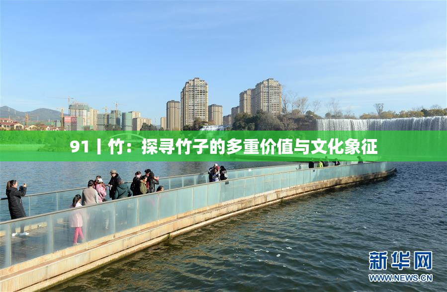 91丨竹：探寻竹子的多重价值与文化象征