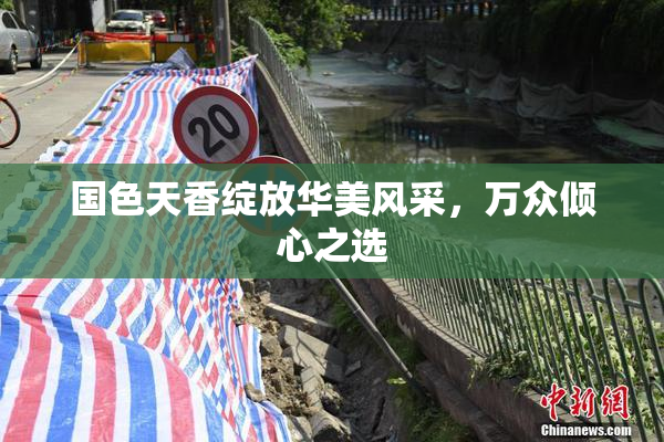 国色天香绽放华美风采，万众倾心之选