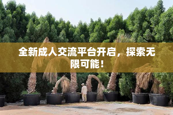 全新成人交流平台开启，探索无限可能！