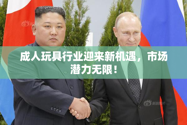 成人玩具行业迎来新机遇，市场潜力无限！