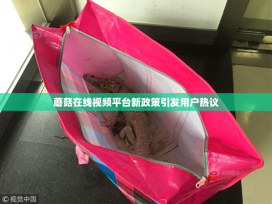 蘑菇在线视频平台新政策引发用户热议