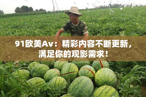 91欧美Av：精彩内容不断更新，满足你的观影需求！
