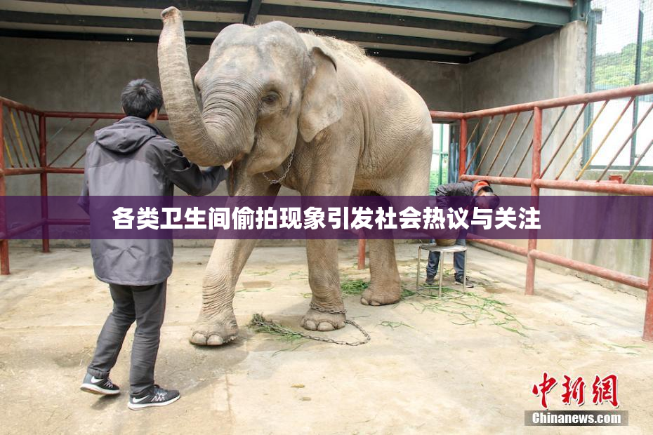 各类卫生间偷拍现象引发社会热议与关注