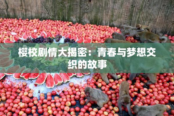 樱校剧情大揭密：青春与梦想交织的故事