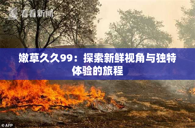 嫩草久久99：探索新鲜视角与独特体验的旅程