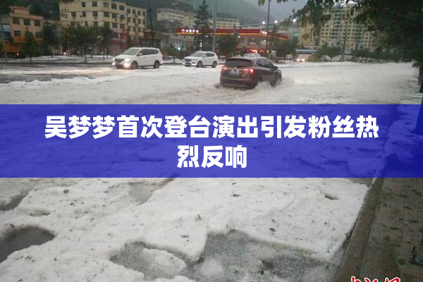 吴梦梦首次登台演出引发粉丝热烈反响