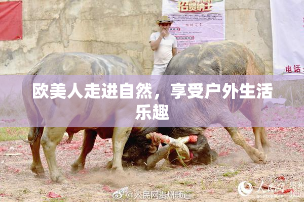 欧美人走进自然，享受户外生活乐趣