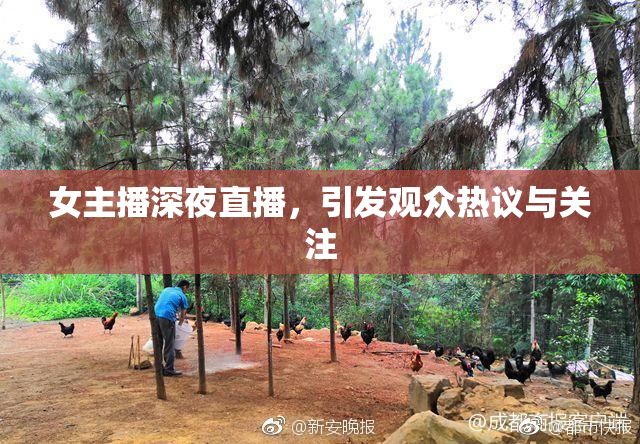 女主播深夜直播，引发观众热议与关注