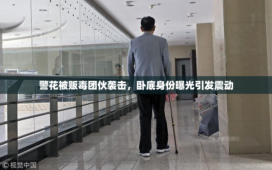警花被贩毒团伙袭击，卧底身份曝光引发震动