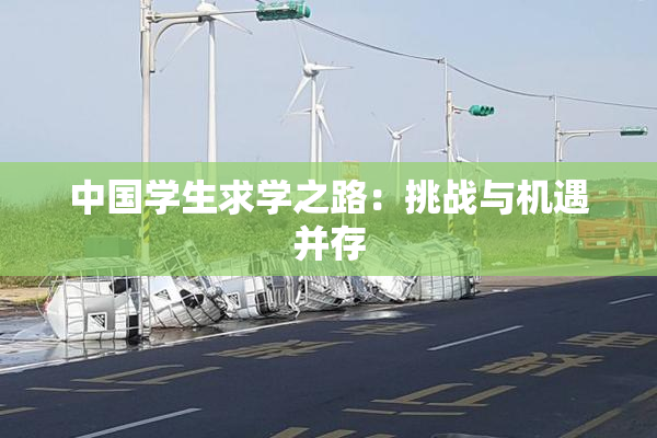 中国学生求学之路：挑战与机遇并存