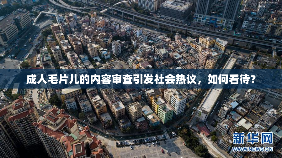 成人毛片儿的内容审查引发社会热议，如何看待？