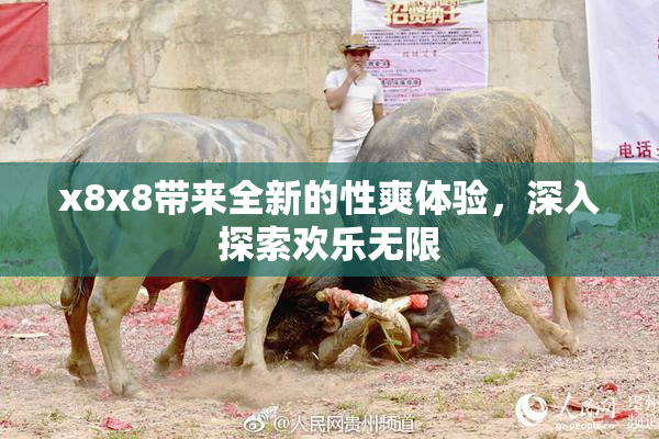 x8x8带来全新的性爽体验，深入探索欢乐无限