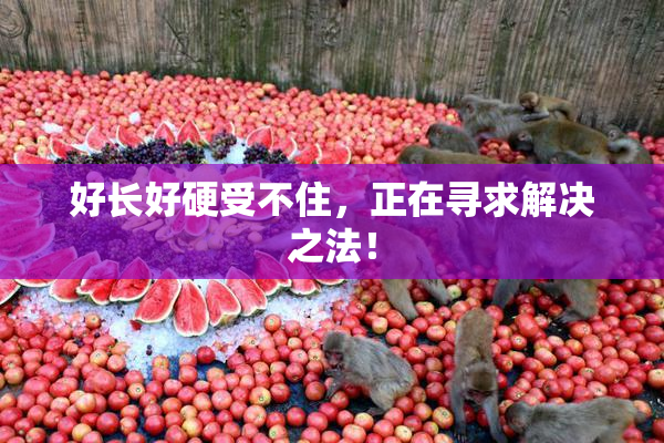 好长好硬受不住，正在寻求解决之法！