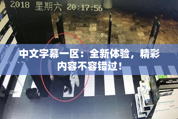 中文字幕一区：全新体验，精彩内容不容错过！