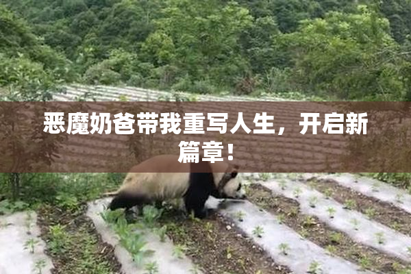 恶魔奶爸带我重写人生，开启新篇章！