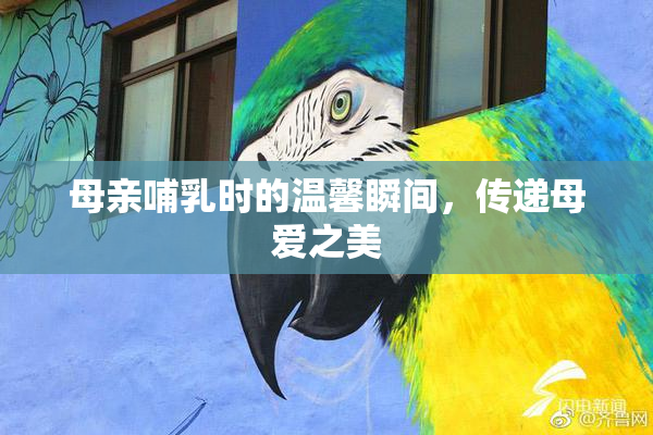 母亲哺乳时的温馨瞬间，传递母爱之美