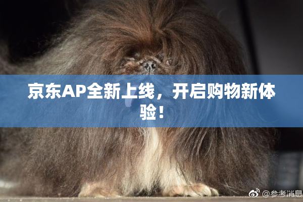 京东AP全新上线，开启购物新体验！