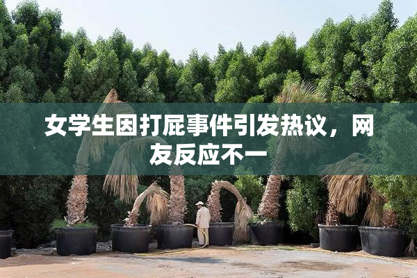 女学生因打屁事件引发热议，网友反应不一