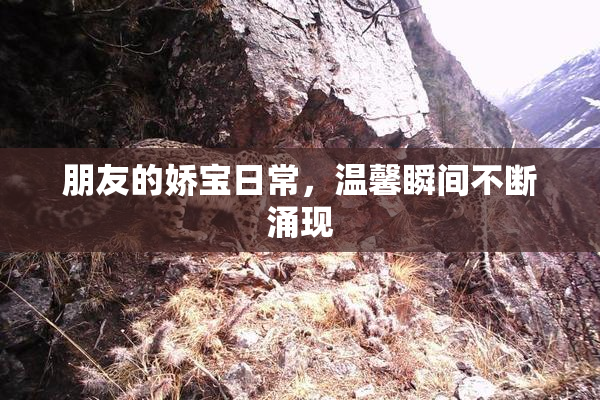 朋友的娇宝日常，温馨瞬间不断涌现