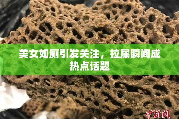 美女如厕引发关注，拉屎瞬间成热点话题
