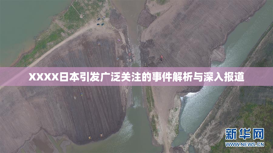 XXXX日本引发广泛关注的事件解析与深入报道