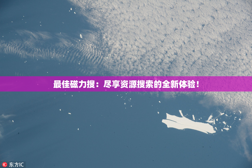 最佳磁力搜：尽享资源搜索的全新体验！