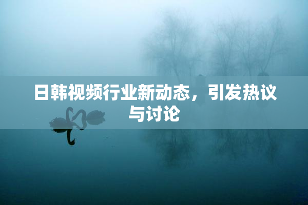 日韩视频行业新动态，引发热议与讨论