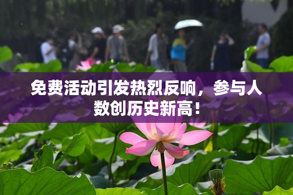 免费活动引发热烈反响，参与人数创历史新高！