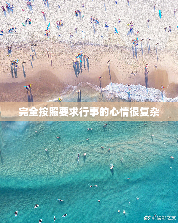完全按照要求行事的心情很复杂