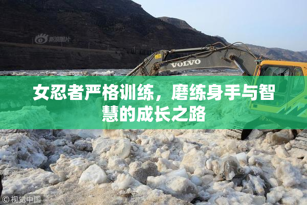 女忍者严格训练，磨练身手与智慧的成长之路