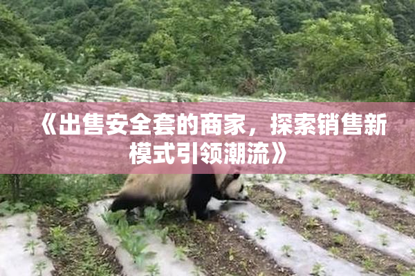 《出售安全套的商家，探索销售新模式引领潮流》