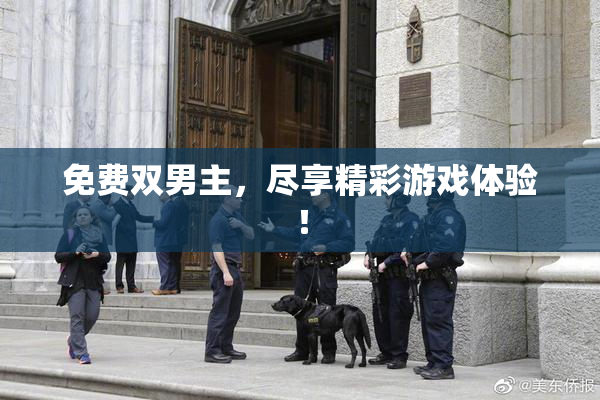 免费双男主，尽享精彩游戏体验！