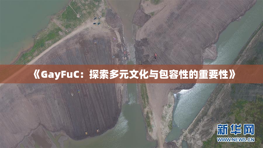 《GayFuC：探索多元文化与包容性的重要性》