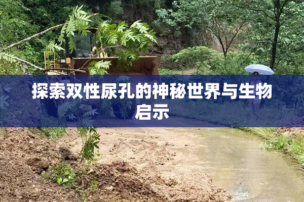 探索双性尿孔的神秘世界与生物启示