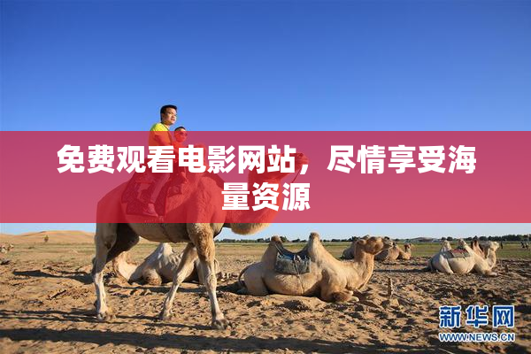 免费观看电影网站，尽情享受海量资源