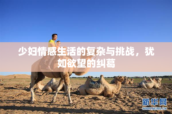少妇情感生活的复杂与挑战，犹如欲望的纠葛