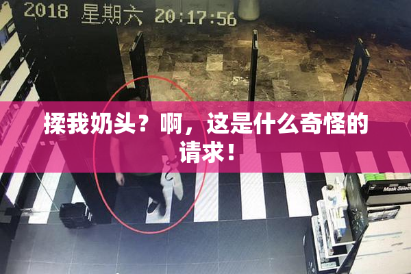 揉我奶头？啊，这是什么奇怪的请求！