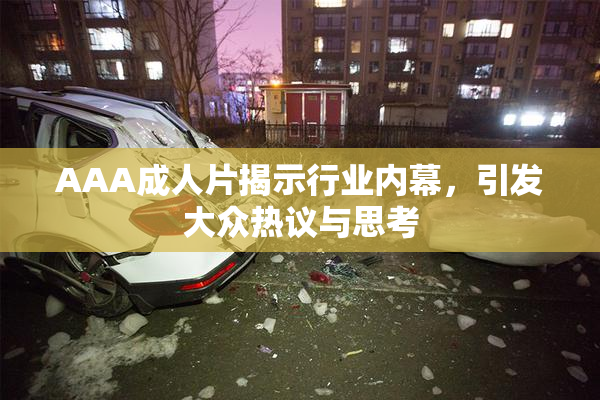 AAA成人片揭示行业内幕，引发大众热议与思考