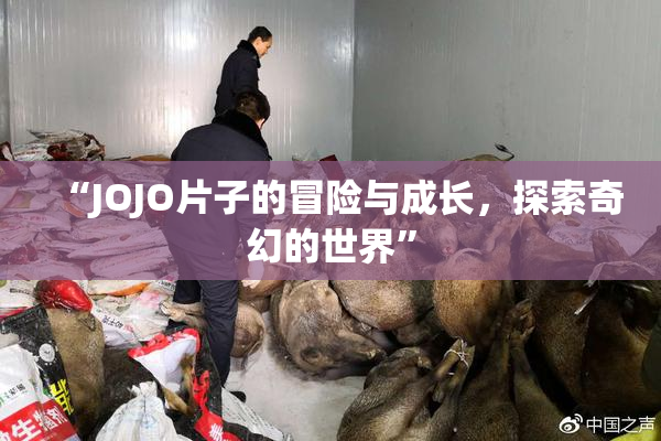 “JOJO片子的冒险与成长，探索奇幻的世界”