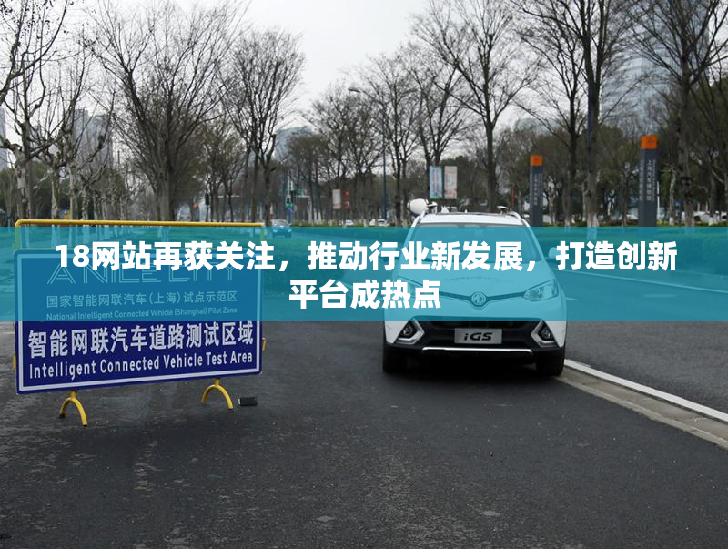 18网站再获关注，推动行业新发展，打造创新平台成热点