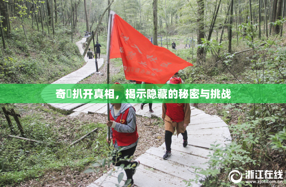 奇犽扒开真相，揭示隐藏的秘密与挑战