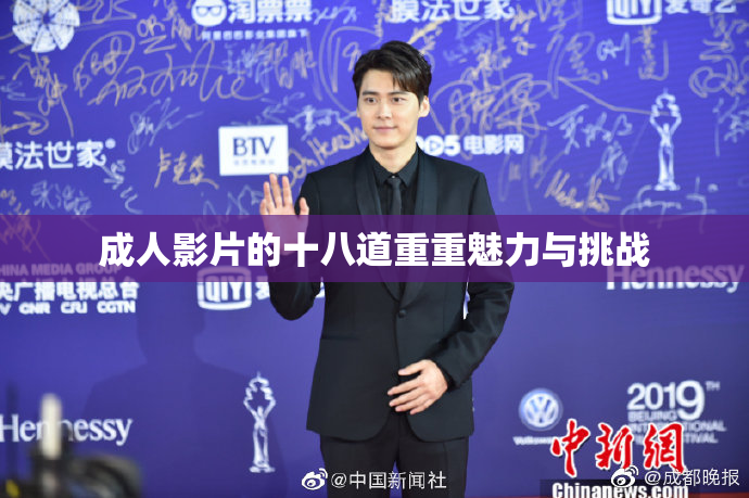 成人影片的十八道重重魅力与挑战