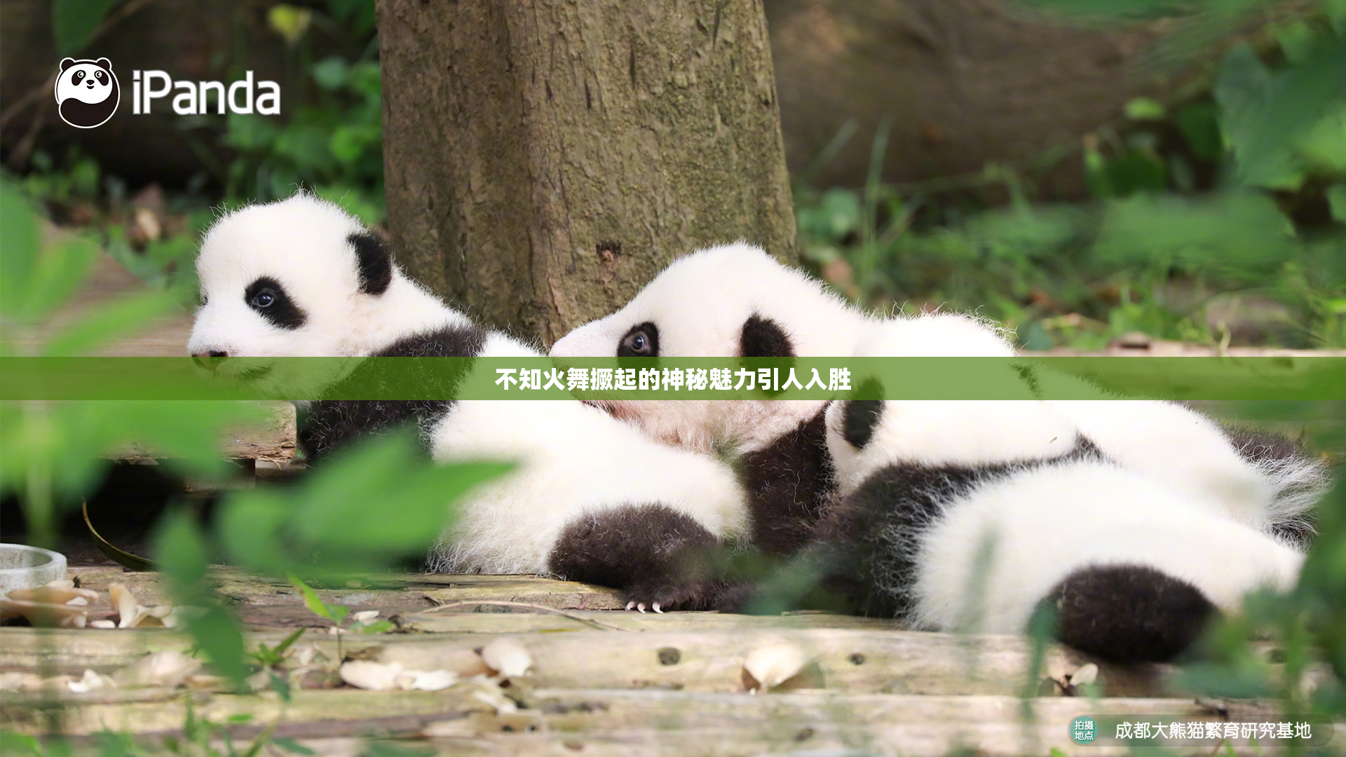 不知火舞撅起的神秘魅力引人入胜