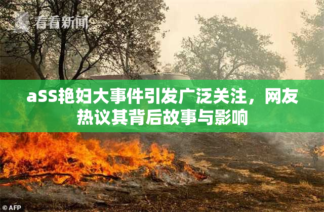 aSS艳妇大事件引发广泛关注，网友热议其背后故事与影响