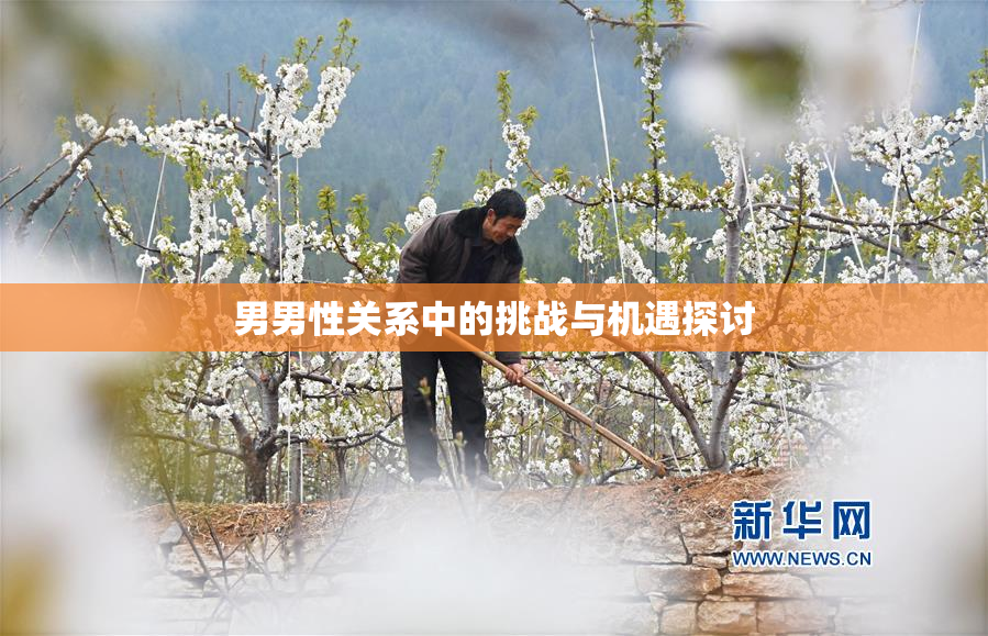 男男性关系中的挑战与机遇探讨