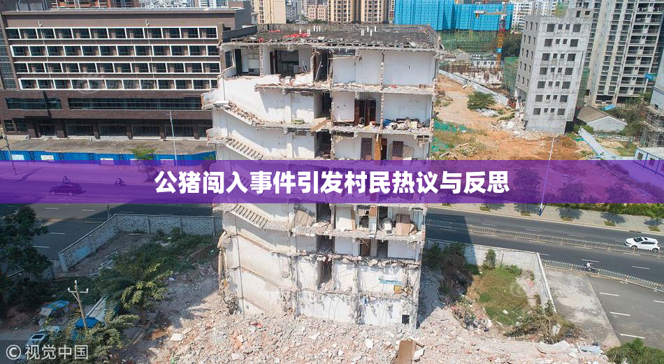 公猪闯入事件引发村民热议与反思