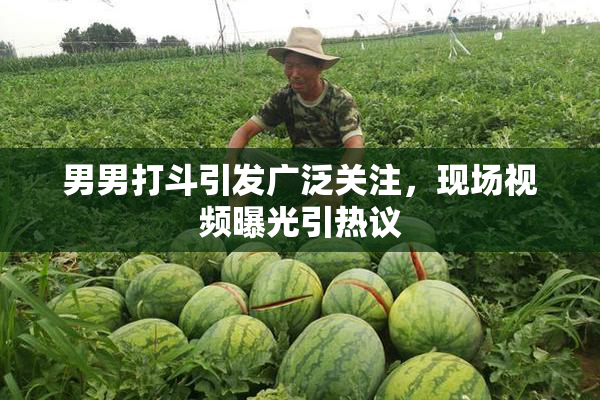 男男打斗引发广泛关注，现场视频曝光引热议