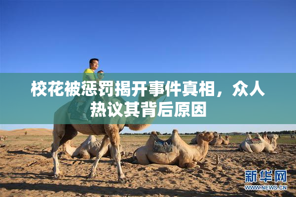 校花被惩罚揭开事件真相，众人热议其背后原因