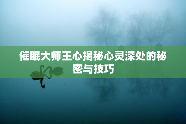 催眠大师王心揭秘心灵深处的秘密与技巧